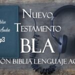 AUDIO MP3 BIBLIA LENGUAJE ACTUAL N.T. DRAMATIZADA